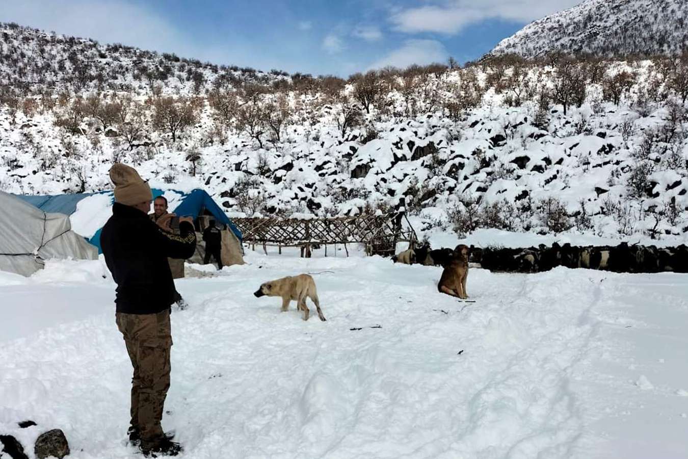 Karda mahsur kalan çoban ve sürüsü kurtarıldı